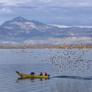 Full Day Shkoder - Shiroke - Rozafa Castle
