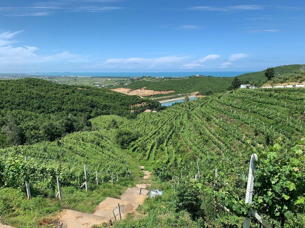 Cape of Rodon & Wine Testing in Duka Winery