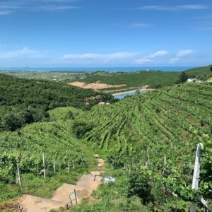 Cape of Rodon & Wine Testing in Duka Winery